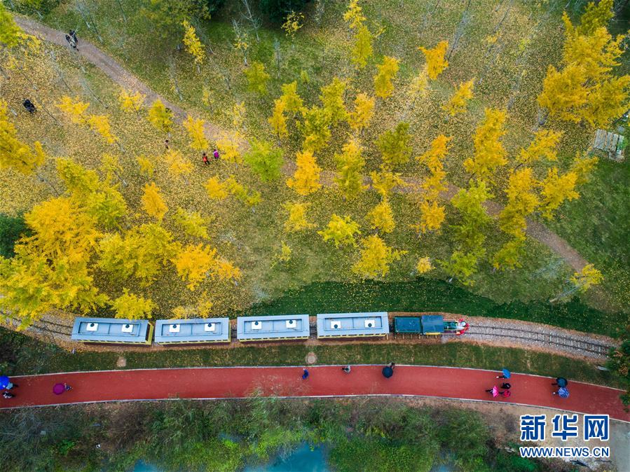 （杭州亚运会）田径：中国队选手杨家玉、马振霞获得女子20公里竞走冠亚军